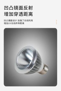 养龟用uvb还是太阳灯，UVA发热照明，UVB补钙关键，太阳灯效果最好