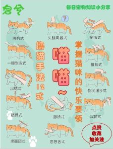 撸猫方式，撸猫怕被咬？先让它闻手，摸头逗它，耐心等它信任你！