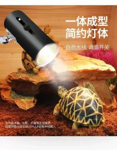 晒龟灯正确用法和距离，养龟晒背灯怎么用？科学补光保健康！