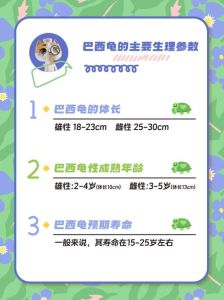 正常乌龟一个小时能走多少米，9岁乌龟Bertie成龟界博尔特，短跑19.59秒惊人