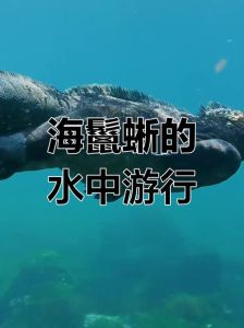 开局养了一只海鬣蜥，从海中求生到陆地变强