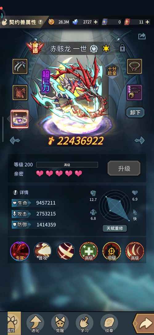 提灯地下城中蜥蜴是什么宠物，《提灯与地下城》小蜥蜴宠物养成指南