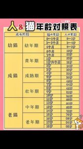 猫一岁顶人几岁，一岁猫等于十五岁，照顾好它更健康快乐