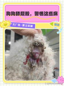 狗可以舔人的伤口吗，狗狗舔伤口危险，肥皂水冲洗快就医