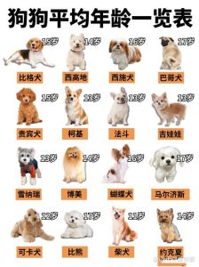狗狗最多能活多少年，你家狗狗能活多久？