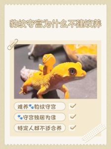 绿鬣蜥没证怎么办，高铁惊现蜥蜴，宠物携带须守法！