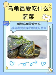 水生龟陆生龟能吃蔬菜不，陆龟水龟吃蔬菜不同