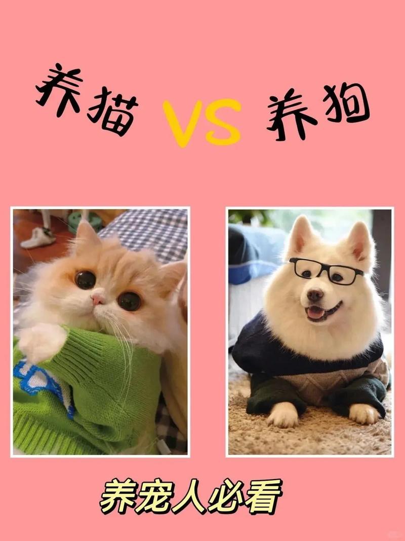 属狗适合养猫吗，狗和猫能不能做朋友？属狗的也能养猫！