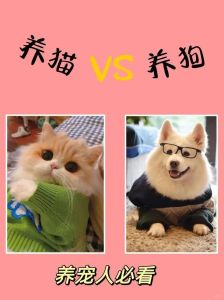 属狗适合养猫吗，狗和猫能不能做朋友？属狗的也能养猫！