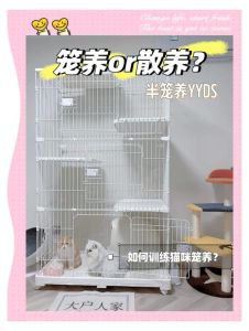 爬沙虫泡酒的正确方法，沙虫泡酒治关节痛，补身健体需谨慎