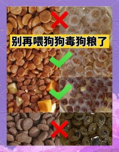 老年犬狗粮要不要泡水，老狗粮泡水好还是不好？看情况！