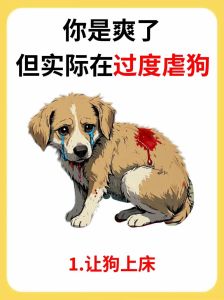 为何用手喂狗不会咬到，手喂狗粮看脸色？安全是关键！