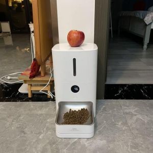 全自动喂食器狗，李姐忙直播，狗狗饿哭，买自动喂食机太香了！