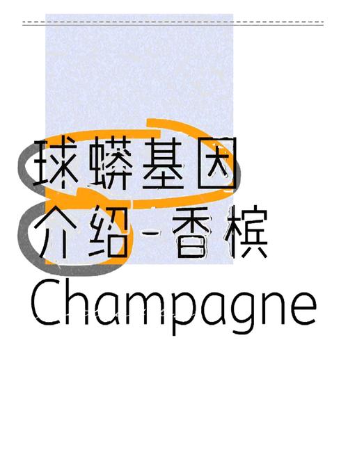 球蟒基因组合大全图解，直球超酷炫，价格实惠，爱好者必备！