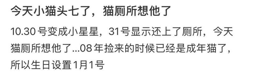 头七怎样让猫回家，猫咪走了心里难受，头七它会回来吗？