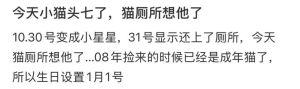 头七怎样让猫回家，猫咪走了心里难受，头七它会回来吗？