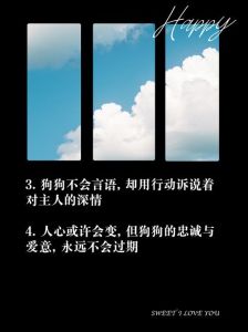 狗能懂主人的感情吗，狗狗超懂你情绪，默契陪伴超暖心