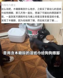 幼犬吃面包了会死吗，面包含木糖醇，狗狗误食会中毒，主人注意防范！