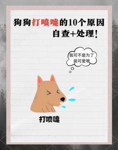 狗一直闻地上是怎么了，狗狗闻地是天性，它在探索世界！