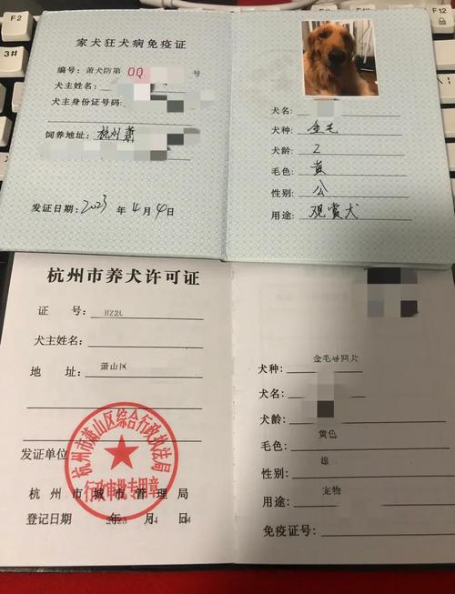绿鬣蜥饲养证，养绿鬣蜥需办证 责任养宠防入侵