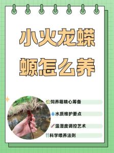 蝾螈可以离开水多久，蝾螈离水多久？别超过一两天