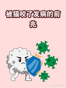 被猫咬伤多久过危险期，猫咬伤别慌，洗消毒打疫苗，注意观察！