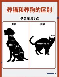 养猫与喂流浪猫区别图，家猫安逸易胖，流浪猫自由有险，都需关爱