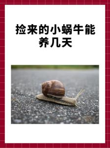 蜗牛一小时能爬多少千米，蜗牛慢爬有智慧