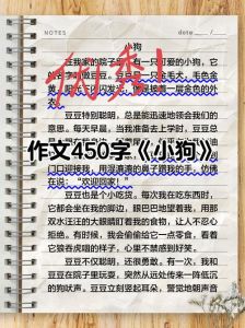 对小狗的感情怎么写，萌宠狗狗，治愈人心，忠实伴侣！