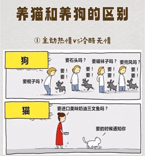 老人言女不养狗男不养猫的原因，好男不养猫，好女不养狗？