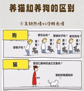 老人言女不养狗男不养猫的原因，好男不养猫，好女不养狗？