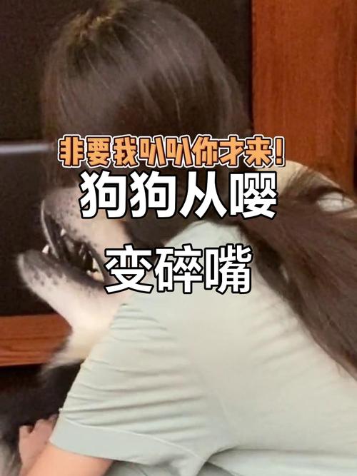 狗狗变成嘤嘤怪，狗狗哼唧哭唧是生病？别当撒娇！