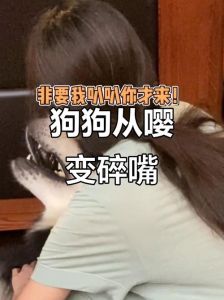 狗狗变成嘤嘤怪，狗狗哼唧哭唧是生病？别当撒娇！