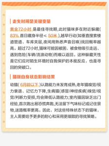 小猫跑丢了能找回来吗，小猫走失别急，放些猫食衣物在门口引路