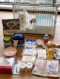 养狗前的准备，窝食水牵引，疫苗卫生，安全幸福伴