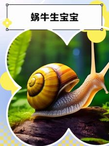 蜗牛一分钟能爬多远，蜗牛背壳爬，眼睛触角上，保护它们别抓