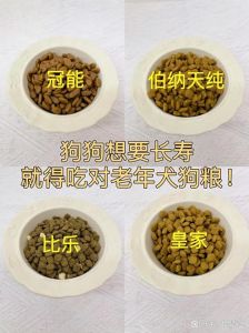 4岁狗可以吃老年犬狗粮吗，狗狗营养需求变化，适时调整狗粮很重要