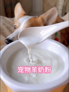 没有羊奶粉用什么代替喂小狗，母乳最佳，蛋黄辅食，科学喂养保健康！