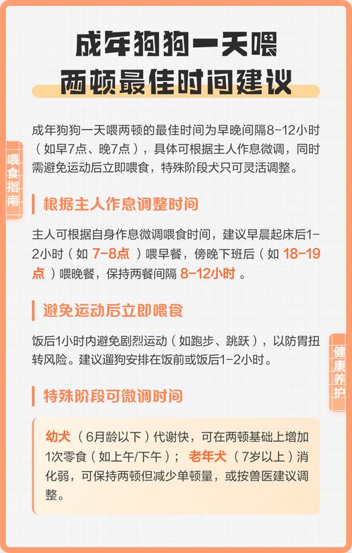 狗狗早晚几点喂食合适,狗狗两餐喂食时间如何定? 狗狗早晚几点喂食合适,狗狗两餐喂食时间如何定?