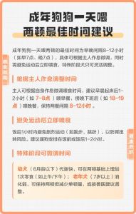 狗狗早晚几点喂食合适，狗狗两餐喂食时间如何定？