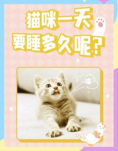 两岁半的家养猫一天睡多久，你家猫咪睡够了吗？