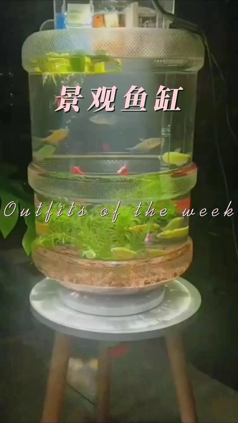 大桶养鱼,枝江女子用塑料桶养鲈鱼,年赚200万! 大桶养鱼,枝江女子用塑料桶养鲈鱼,年赚200万!