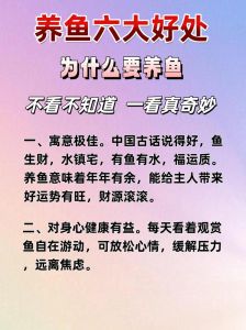 养鱼先养水还是先放鱼，先养水后放鱼，简单步骤保鱼健康