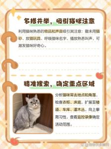 家里猫丢了怎么找回来，猫咪丢了别慌，200米内速找，别吓着它！