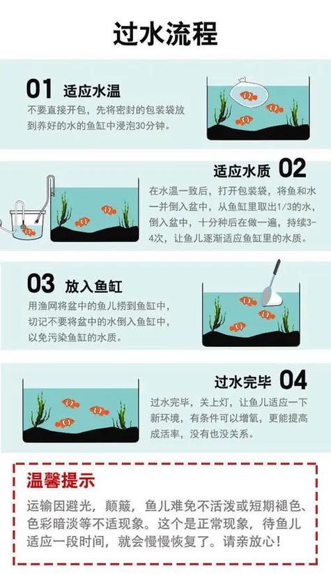 老缸新水多久可以养鱼，养鱼先养水，水好鱼才好！