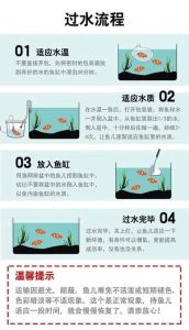 老缸新水多久可以养鱼，养鱼先养水，水好鱼才好！