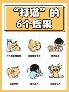 经常打猫的后果严重，别打骂猫咪，温柔耐心更亲昵