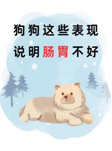 养狗又臭又脏好烦，狗狗有怪味？清洁肛门脚丫除臭！