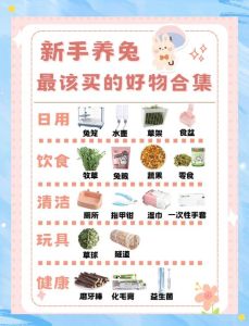 兔子每天喂多少食物，草粮水配比与禁忌