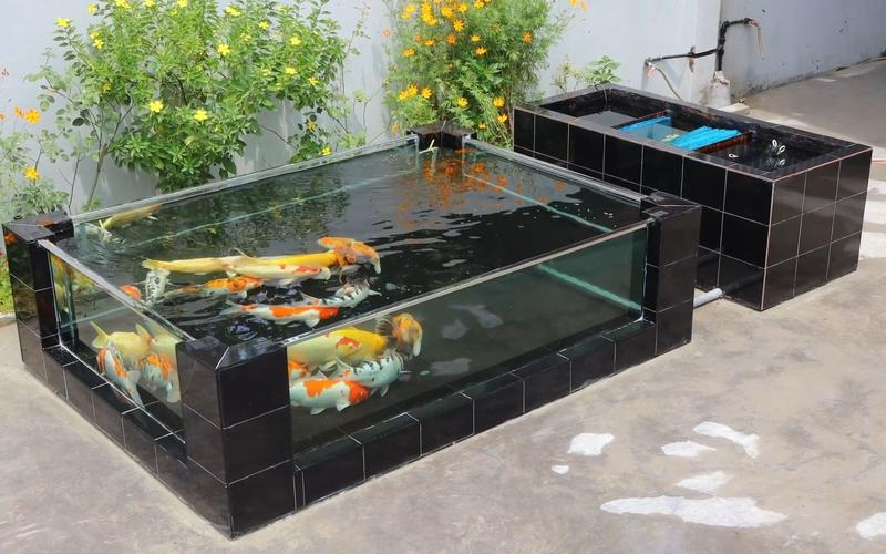 长方形锦鲤鱼池一面使用玻璃，带玻璃墙的锦鲤池，阳光下游鱼带感，全自动过滤省心
